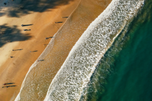 beach resorts in chennai